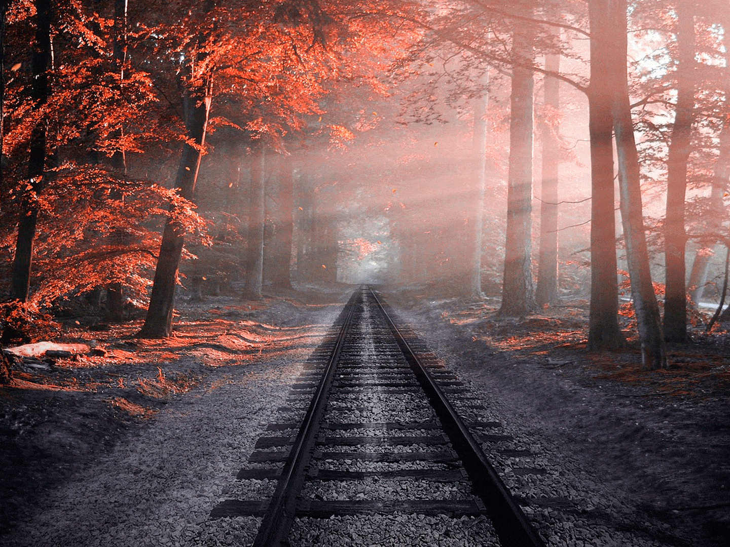 Imagen de seguro de decesos Helvetia en Elche con atención profesional y servicio funerario completo.